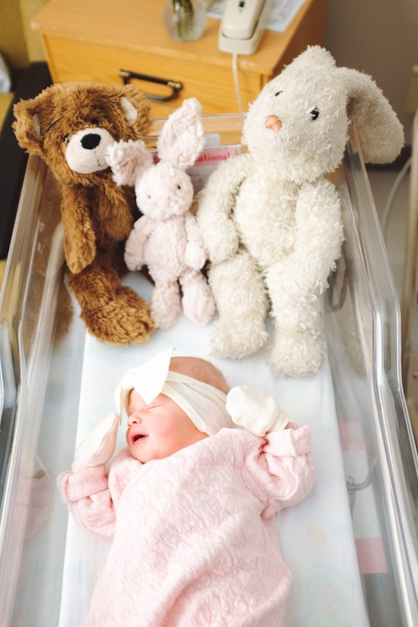 Fertility and IVF